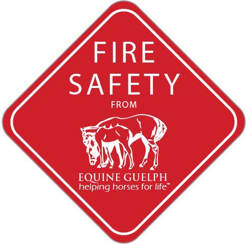 'Fire Safety Icon